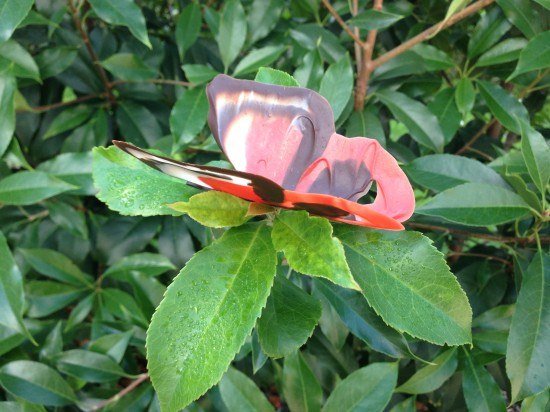 chocolate butterflies howtocookthat ann reardon