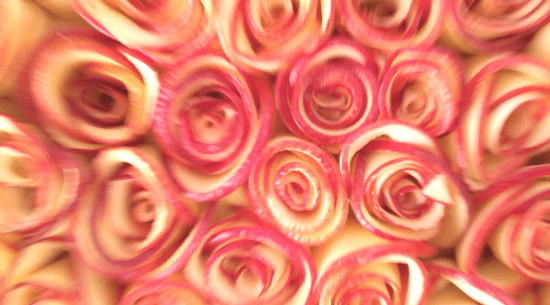 red rose apple tart apple roses