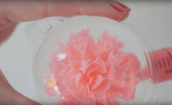 water drop cake how to cook that