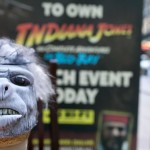 Monkey Brains Cake Ann Reardon