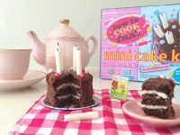 mini cake ann reardon poppin cookin