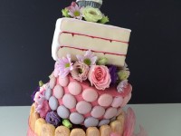 topsy turvy cake ann reardon