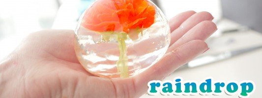 raindrop cake ann reardon
