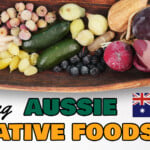 tasting australian native foods