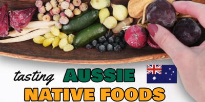 tasting australian native foods