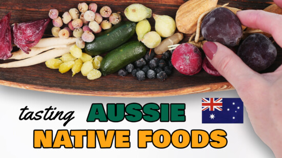 tasting australian native foods